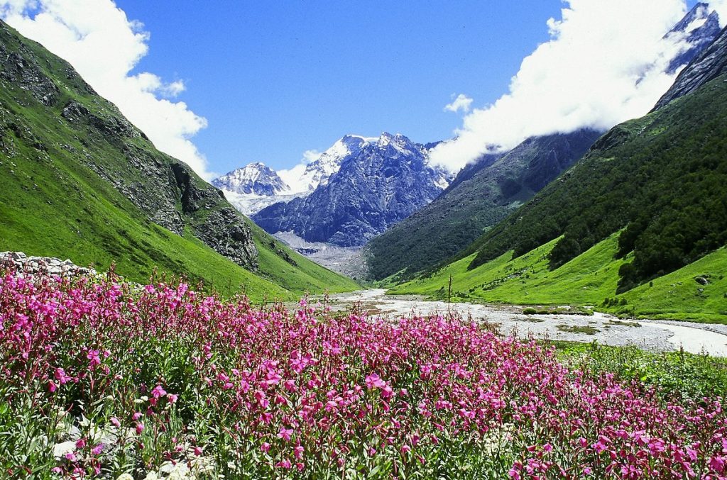 Vally of flowers