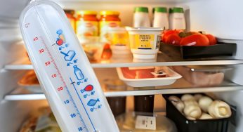 A Comprehensive Guide to Fridge Thermometers | Health Perspective