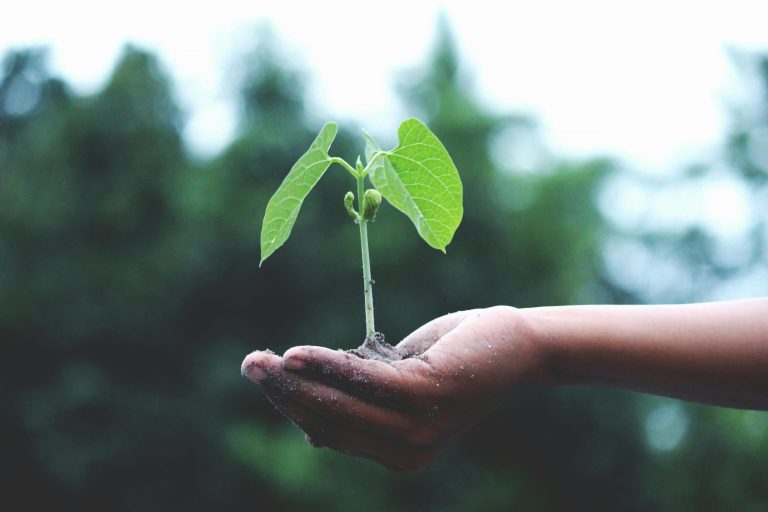 15 Projects You Can Do To Make Your Home More Sustainable 15 Projects You Can Do To Make Your Home More Sustainable
