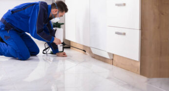 Top Natural Tips for Controlling Termite Infestation