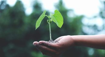15 Projects You Can Do To Make Your Home More Sustainable